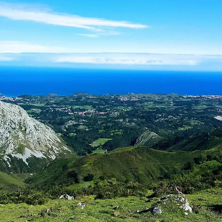 Natalia Loft Rural Vut-3846-as