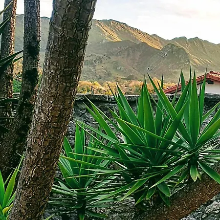 Natalia Loft Rural Vut-3846-as Tatil Evi Llanes