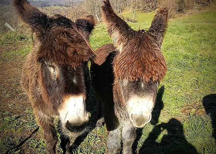 Сasa de vacaciones Natalia Loft Rural Vut-3846-as