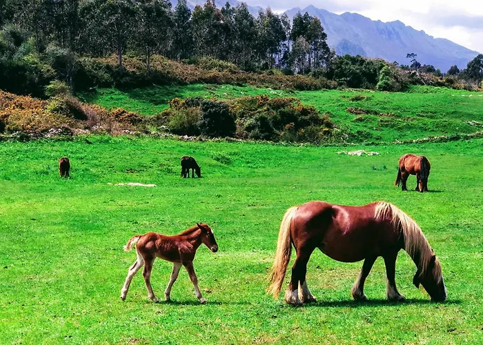 Сasa de vacaciones Natalia Loft Rural Vut-3846-as