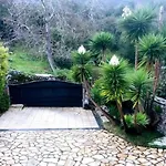Сasa de vacaciones Natalia Loft Rural Vv-3959-as Llanes