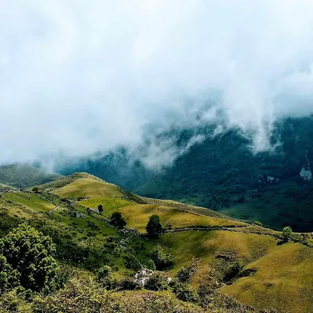 Natalia Loft Rural Vut-3846-as