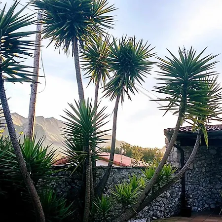 Natalia Loft Rural Vut-3846-as Σπίτι διακοπών