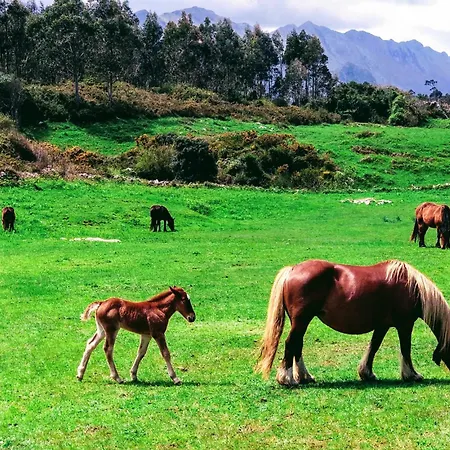 Σπίτι διακοπών Natalia Loft Rural Vut-3846-as